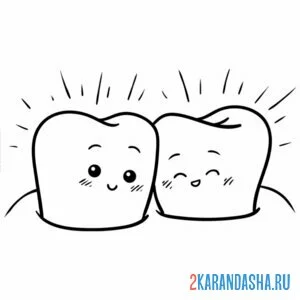 Раскраска два здоровых зуба