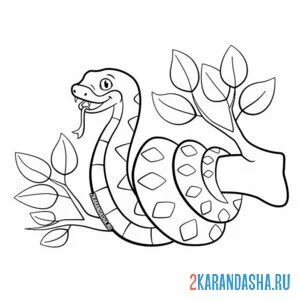 Раскраска змея на ветке летом