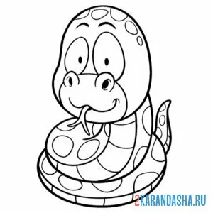 Раскраска малышка змейка