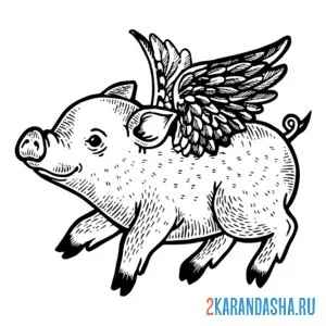 Раскраска свинка смешнка
