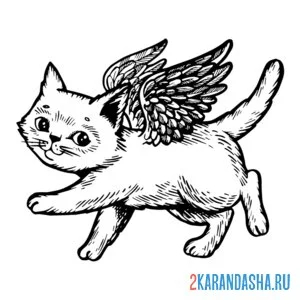 Раскраска котик-амур