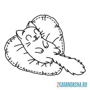 Раскраска котик спит на подушке