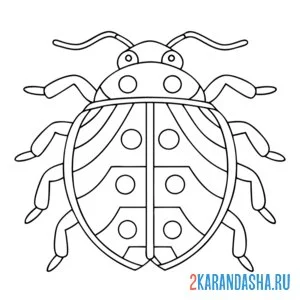 Раскраска божья коровка контур