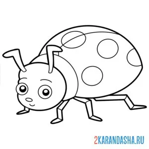 Раскраска божья коровка насекомое
