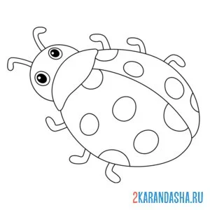 Раскраска божья коровка простой рисунок