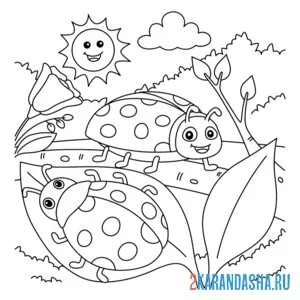 Раскраска божьи коровки