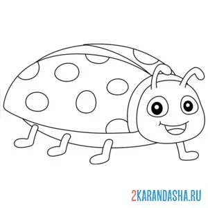 Раскраска божья коровка бежит