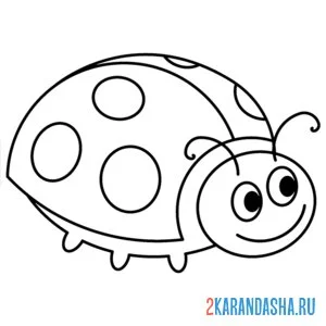 Раскраска божья коровка сложила крылья