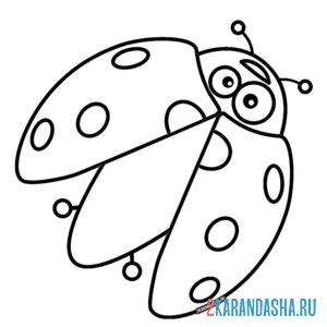 Раскраска божья коровка готовится к взлету