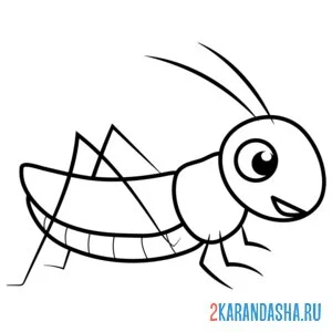 Раскраска кузнечик простой