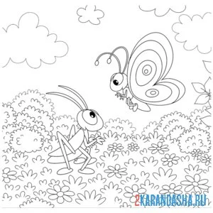 Раскраска кузнечик и бабочка