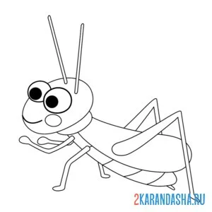 Раскраска кузнечик лапки