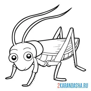 Раскраска кузнечик в полный рост