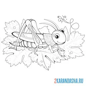 Раскраска кузнечик в лесу