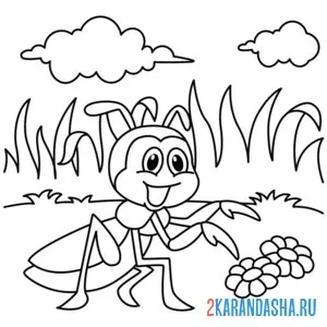 Раскраска кузнечик нашел цветочки