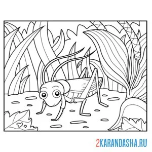 Раскраска кузнечик зеленый