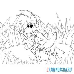 Раскраска кузнечик в траве