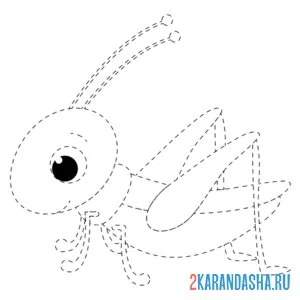 Раскраска кузнечик обведи по линия
