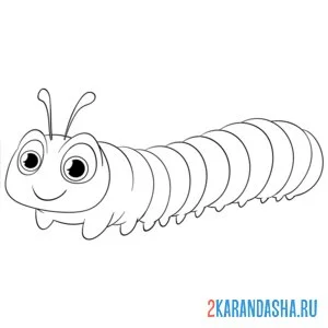 Раскраска длинная гусеница