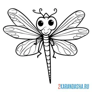Раскраска необычная стрекоза