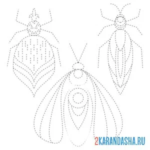 Раскраска обведи по линии насекомых