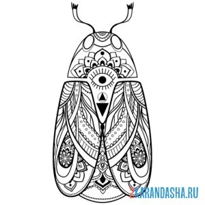 Раскраска антистресс насекомое