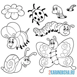 Раскраска выбор насекомые