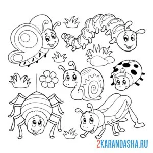 Раскраска насекомые, паук, бабочка, гусеница, кузнечик