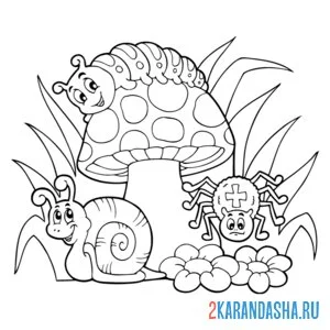 Раскраска насекомые в лесу улитка, паук, гусеница