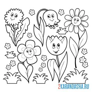 Раскраска цветы для насекомых