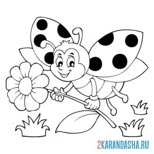 Раскраска божья коровка и цветок насекомое