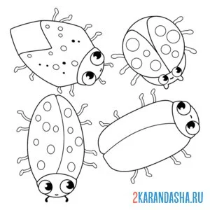 Раскраска насекомые жуки и букашки