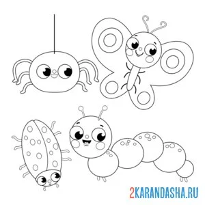 Раскраска насекомые паук, бабочка, божья коровка и гусеница
