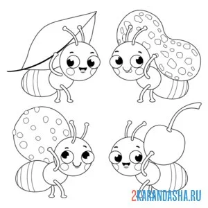Раскраска насекомые муравьи заняты делом