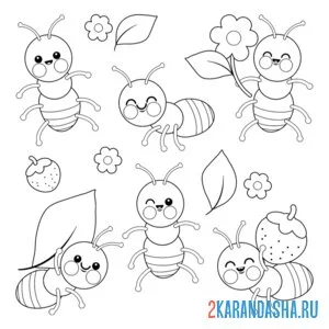 Раскраска насекомые разные муравьи
