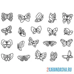 Раскраска насекомые разные бабочки