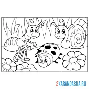 Раскраска насекомые муравей, божья коровка, улитка