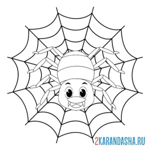 Раскраска паук в паутине насекомые