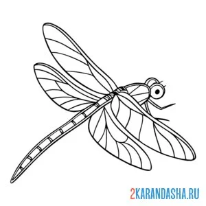 Раскраска стрекоза красивое насекомое