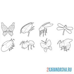 Раскраска летающие насекомые