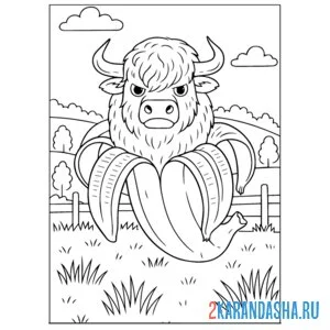Раскраска bulliccinni-bananini