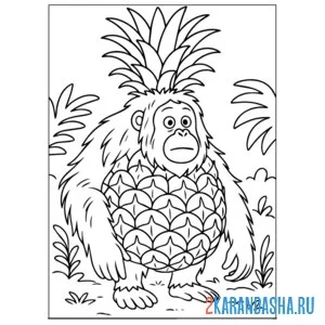 Раскраска орангутини ананасини итальянские животные
