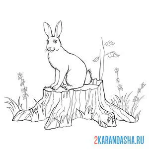 Раскраска зайчик в весеннем лесу