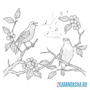 Раскраска природа с поющими птицами