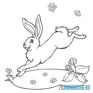 Раскраска весенний зайчик