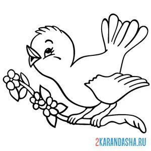Раскраска птичка на цветущей ветке