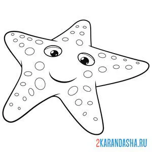 Раскраска морская звезда
