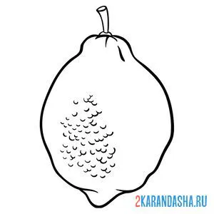 Раскраска лимон