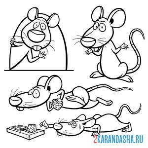 Раскраска смешная мышка