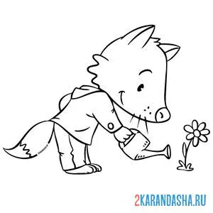 Раскраска лис поливает цветок